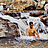 Matheus_Paternostro